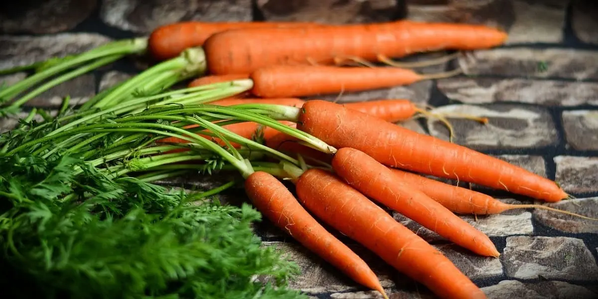 Comment conserver des carottes ?