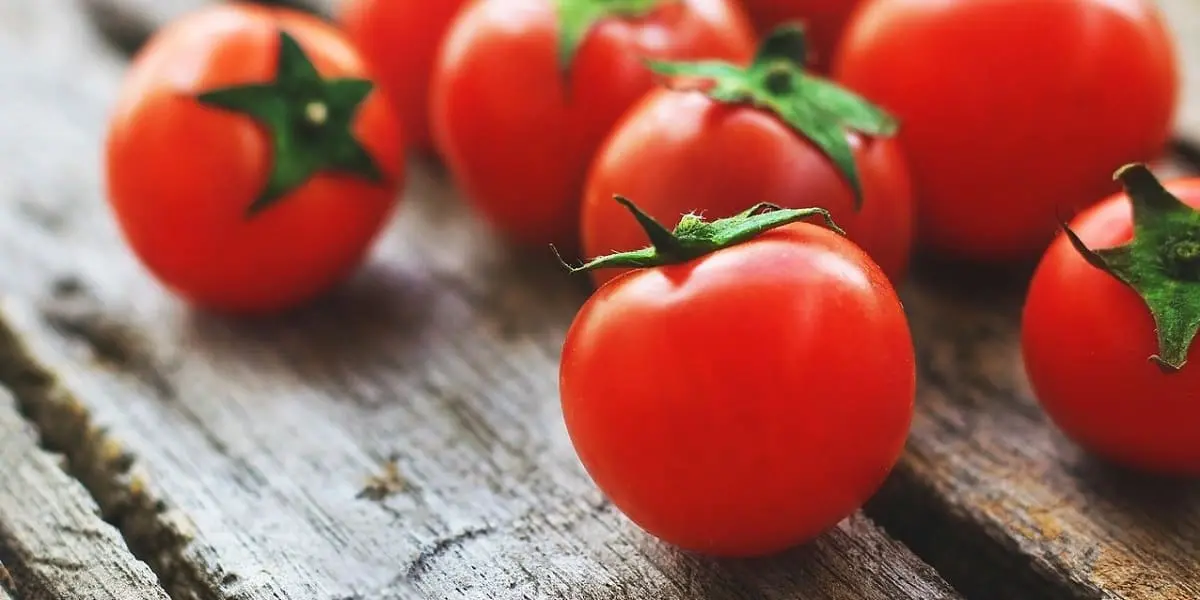 Comment conserver des Tomates ?